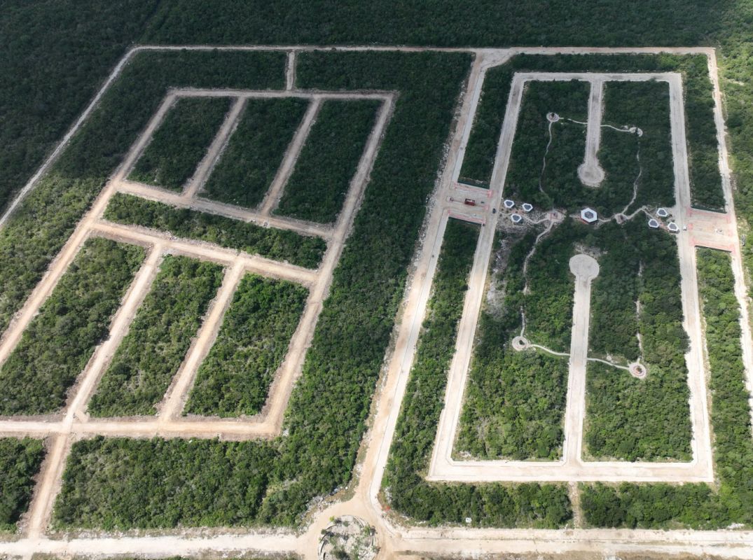  - img_6925eff1ce0852.75762683.jpg