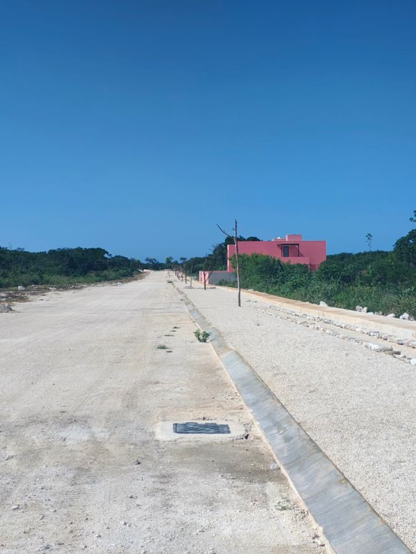  - img_6925f069e9c252.83831504.jpg