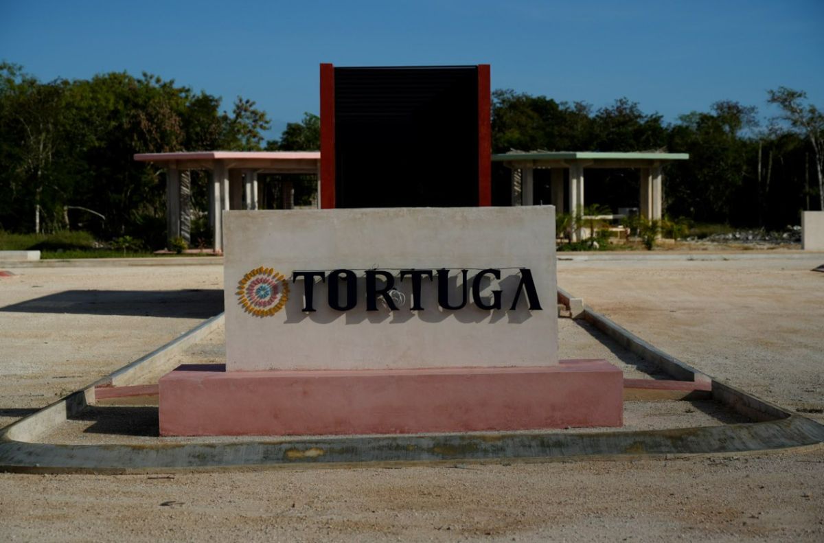  - img_69408ab25287d7.60271002.jpg