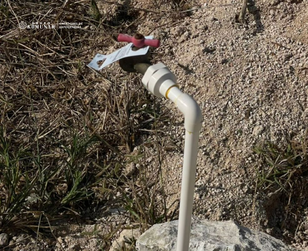  - img_69852307caedb3.84606037.jpg